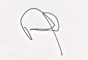 Paul Growald's Handwritten Signature