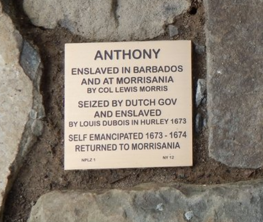 Plaque detailing Anthony's journey: enslaved in Barbados, seized, self-emancipated, and returned to Morrisania.